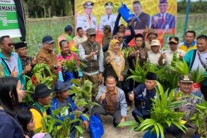 Kadis LHK Riau Bagikan 10.000 Bibit Pohon di Kampung Wisata Kandis